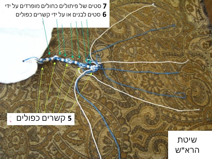 שיטת הרא"ש - ציצית עם תכלת